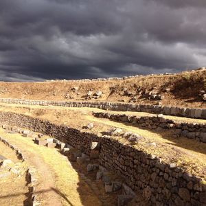 Meet your Posher, Naomi